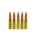300 AAC Blackout – 220gr - Subsonic - Practice and Leisure
